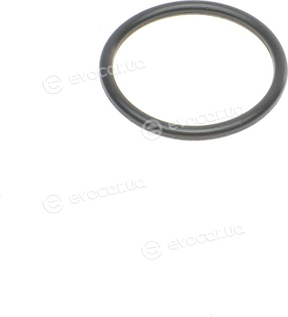 Blue Print ADBP210003