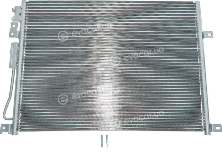 Van Wezel 21005045