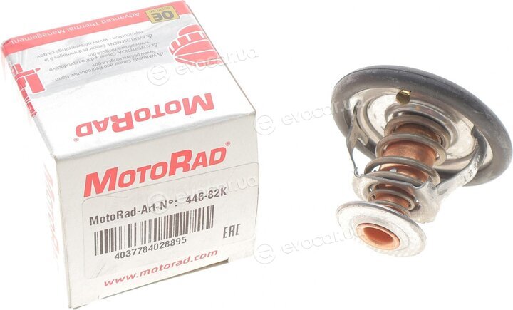 Motorad 446-82K