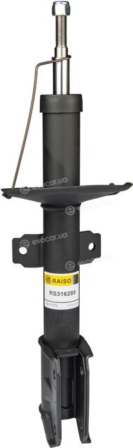 Raiso RS316289