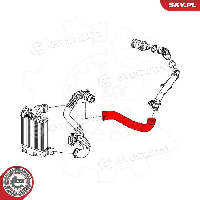 SKV 43SKV492