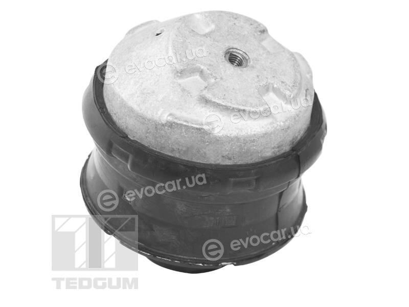 Tedgum TED72237