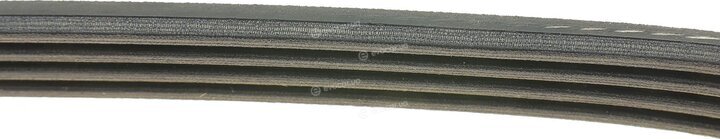 Dayco 4PK1215