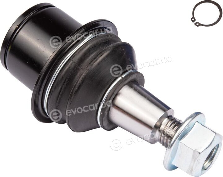 Raiso RL500180L
