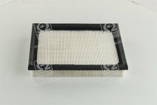 Champion CAF100640P