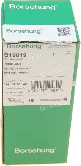 Borsehung B19019