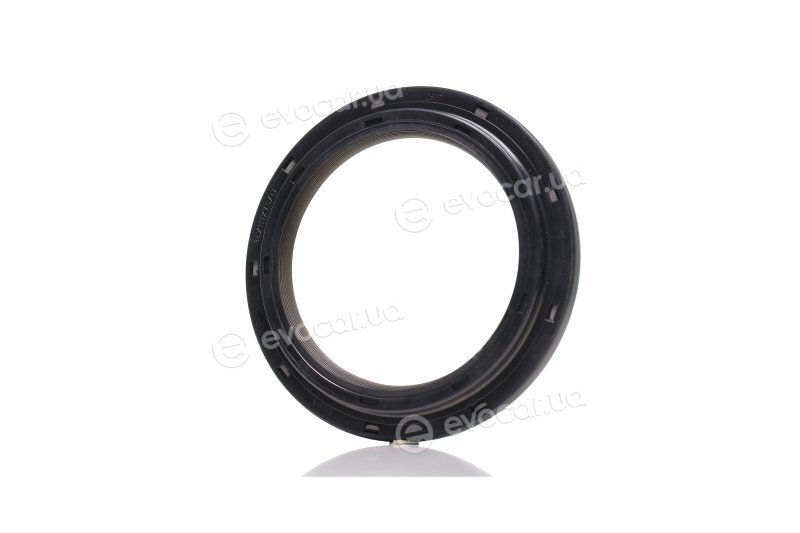 Elring 697.520