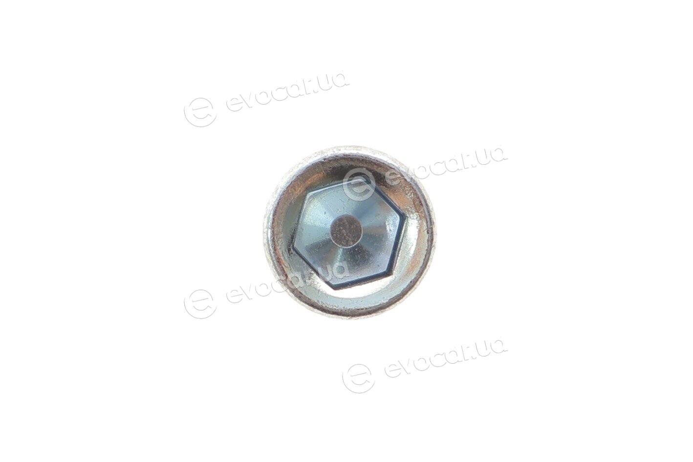 AIC 55282