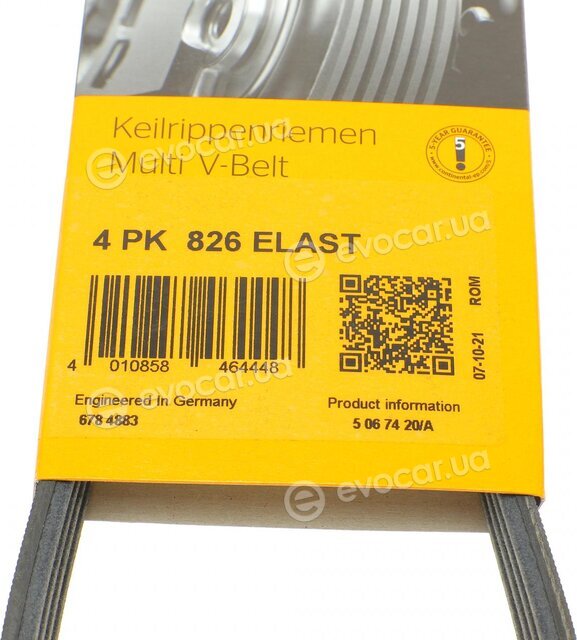 Continental 4PK826 ELAST