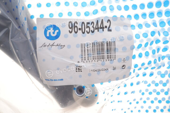RTS 96-05344-2