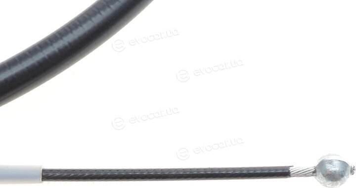 AIC 75461