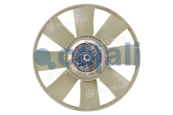 Cojali 7025121