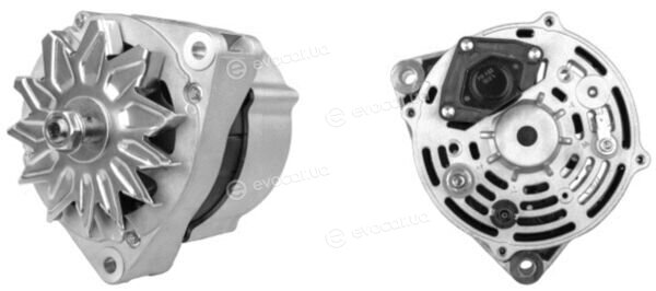 Mahle MG 781