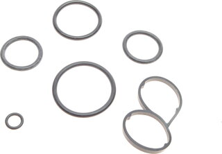 Solgy 113017