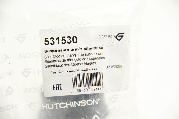 Hutchinson 531530