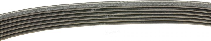 Dayco 6PK1080