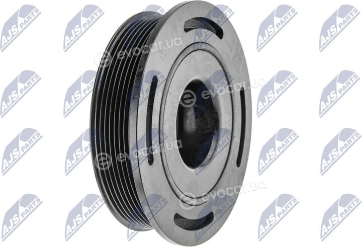 NTY RKP-PL-003