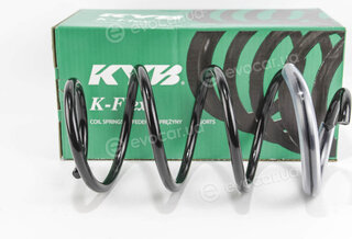 KYB / Kayaba RG1001