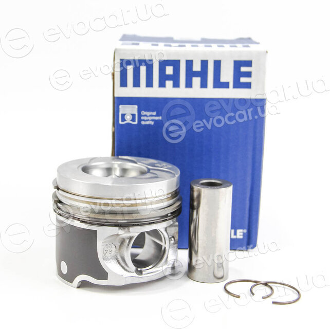 Mahle 022 01 02