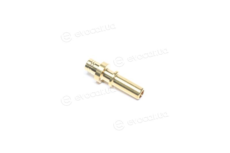 Bosch F01M100176