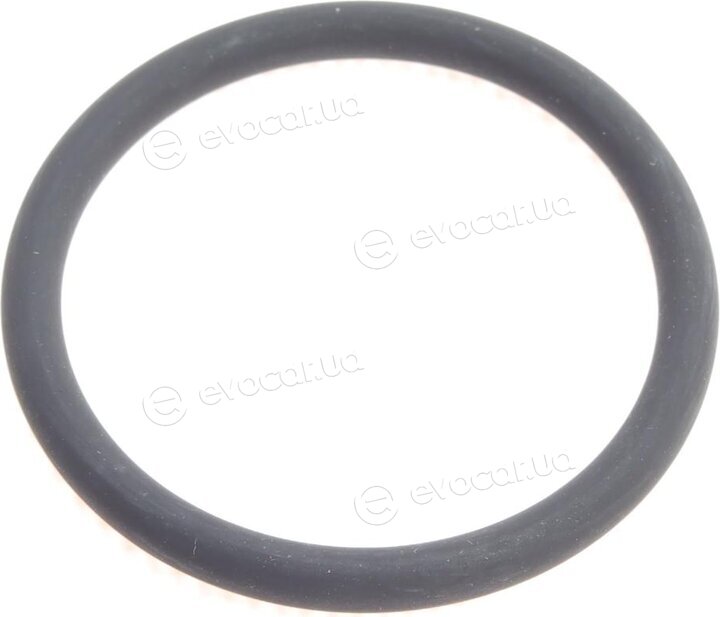 Elring 573.350