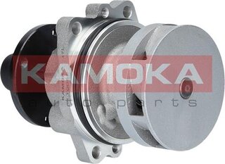 Kamoka T0058