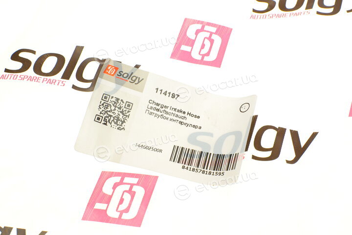 Solgy 114197