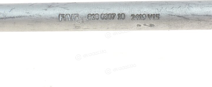FAG 818 0307 10