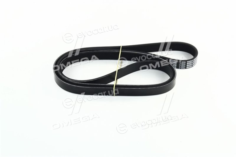 Dayco 6PK1558