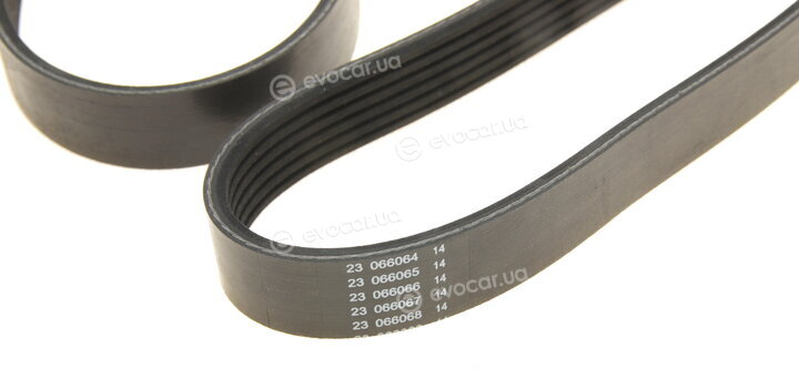 Dayco 6PK1975