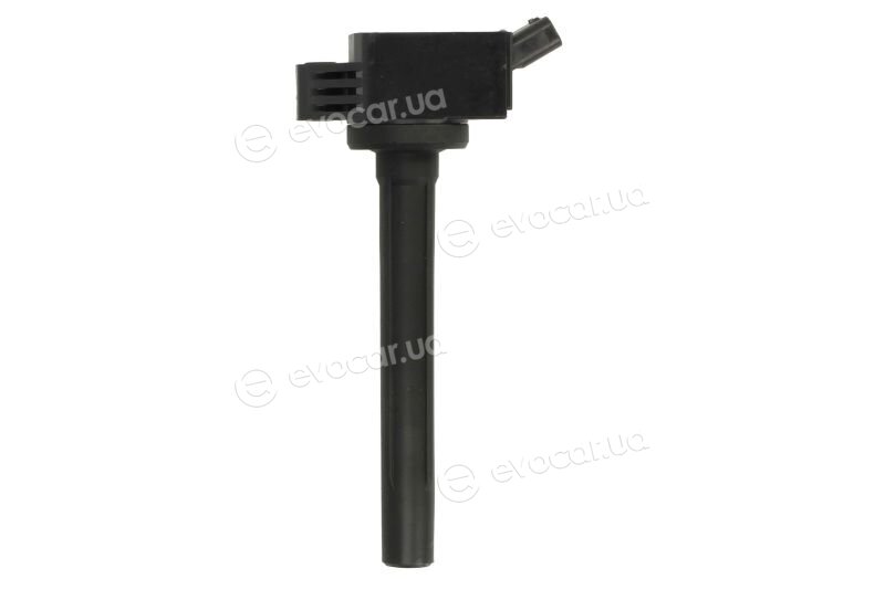 Delphi GN11019