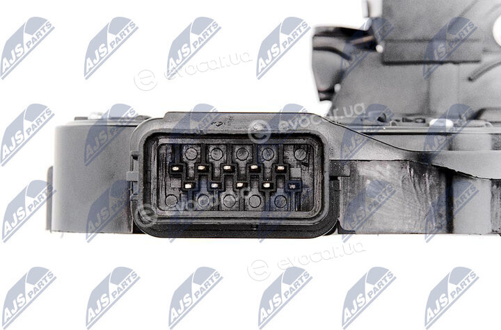 NTY EZC-VV-003