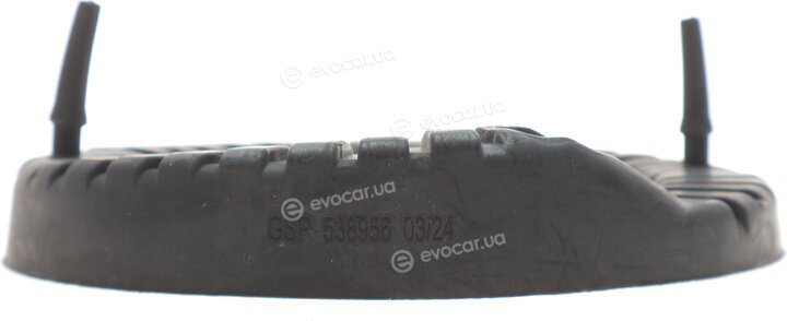 GSP 538956