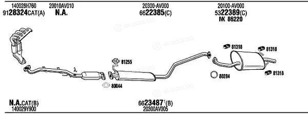 Walker / Fonos NIH16923A