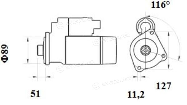 Mahle MS 891