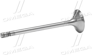 Gunes 3586
