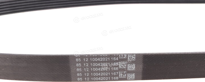 Continental 6PK1145