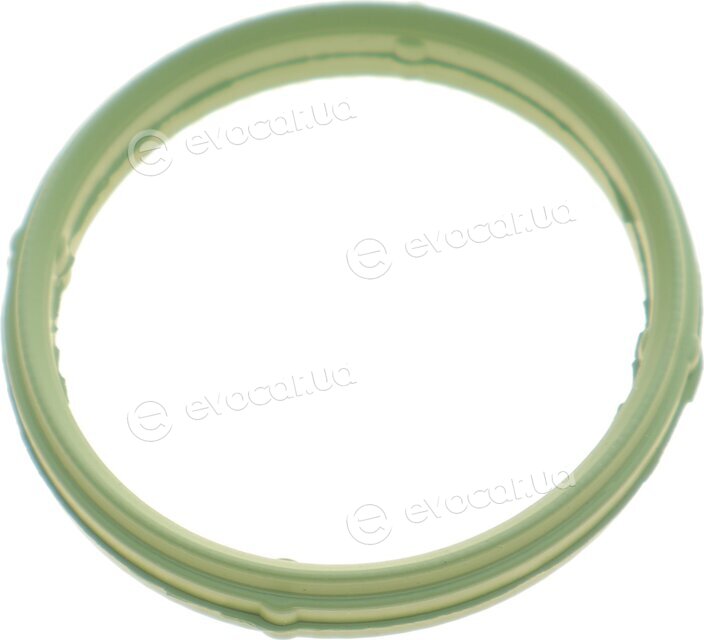 Elring 538.050