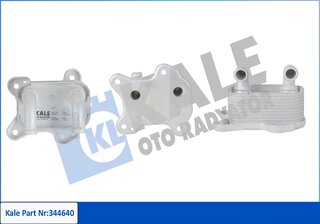 Kale 344640