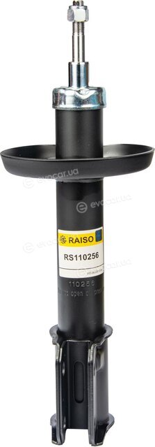 Raiso RS110256