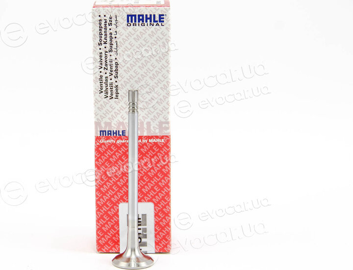 Mahle 039 VA 30981 000