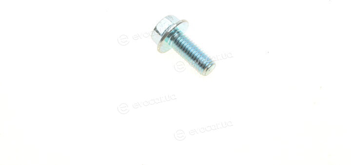 Solgy 203114