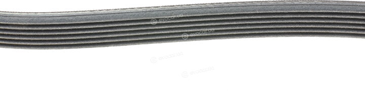 Continental 6PK1680