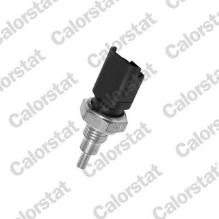 Vernet / Calorstat WS2693