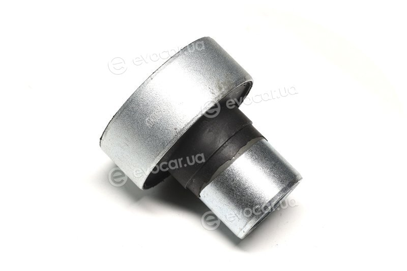 Sasic 2604009