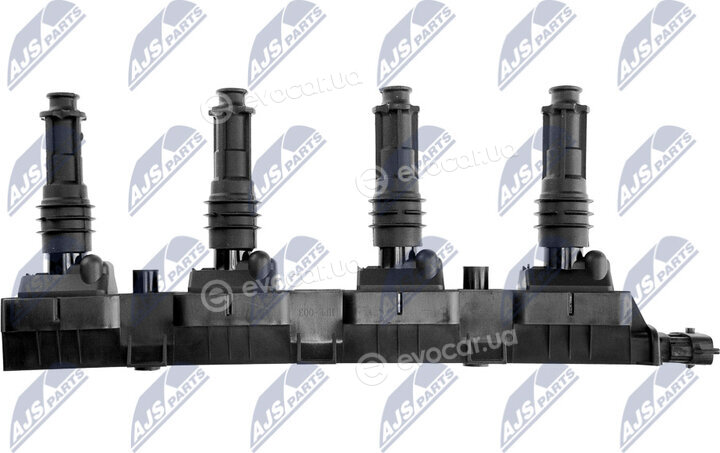 NTY ECZ-PL-003