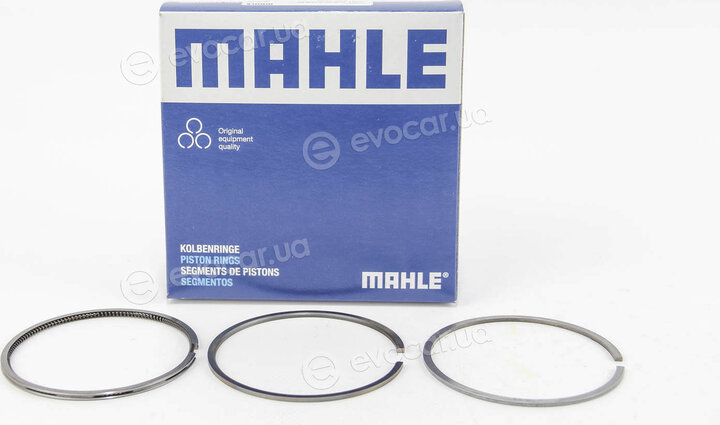 Mahle 029 55 N0