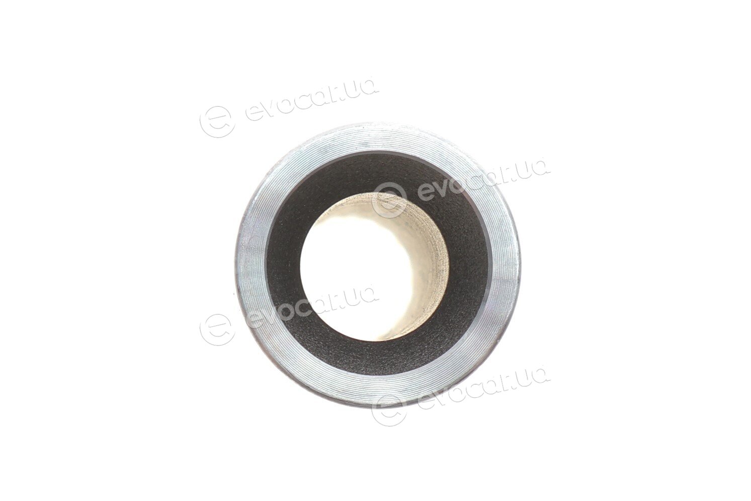 Mahle 028 PI 00118 000