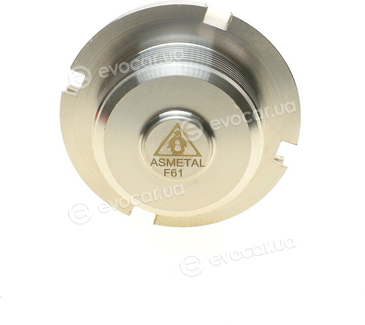 AS Metal 10PE4700
