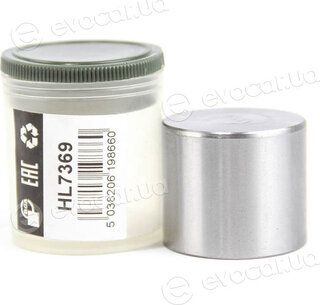 BGA HL7369